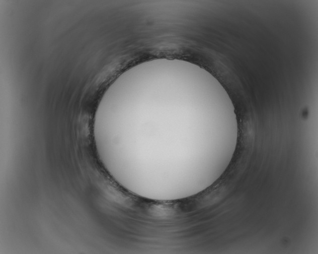 X0000116850232201001051513