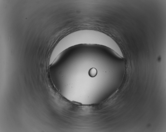 X0000116850233201001051513