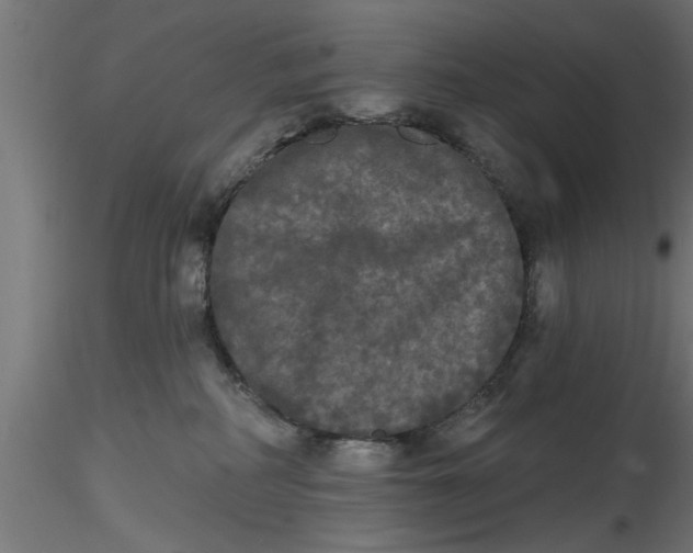 X0000116850234201001051513