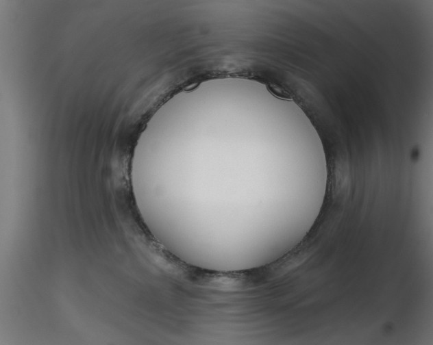 X0000116850236201001051513