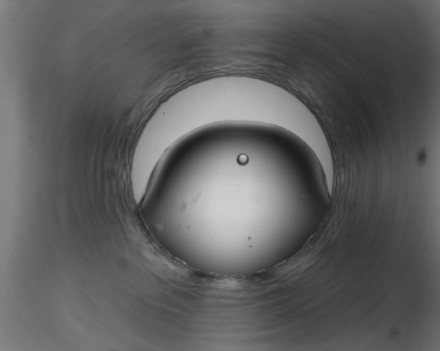 X0000116850237201001051513