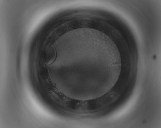 X0000116850239201001051512