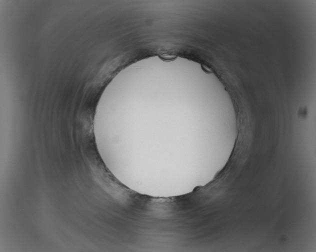 X0000116850240201001051512