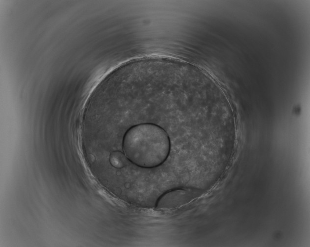 X0000116850241201001051512