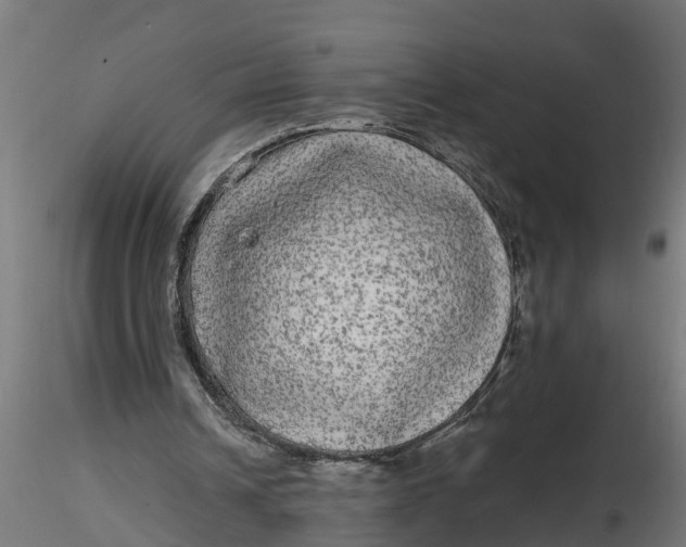 X0000116850242201001051512