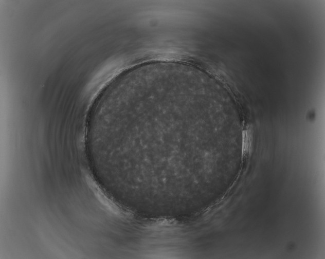 X0000116850243201001051512