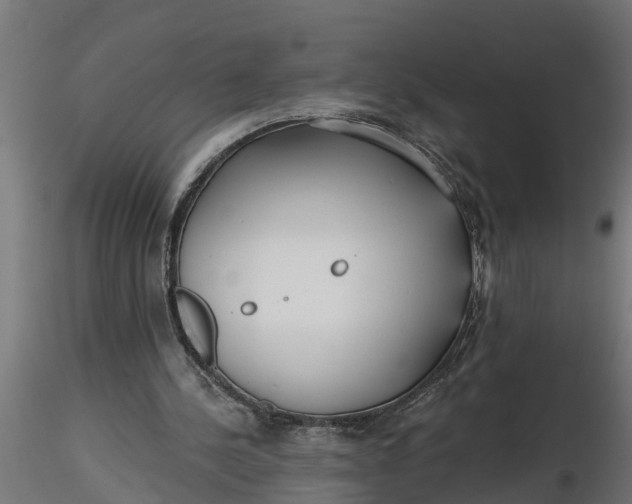 X0000116850244201001051512