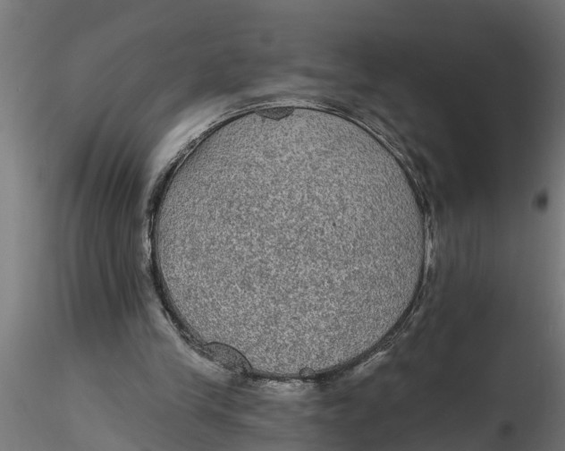 X0000116850245201001051512