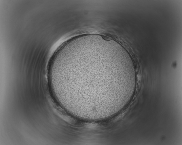 X0000116850246201001051512