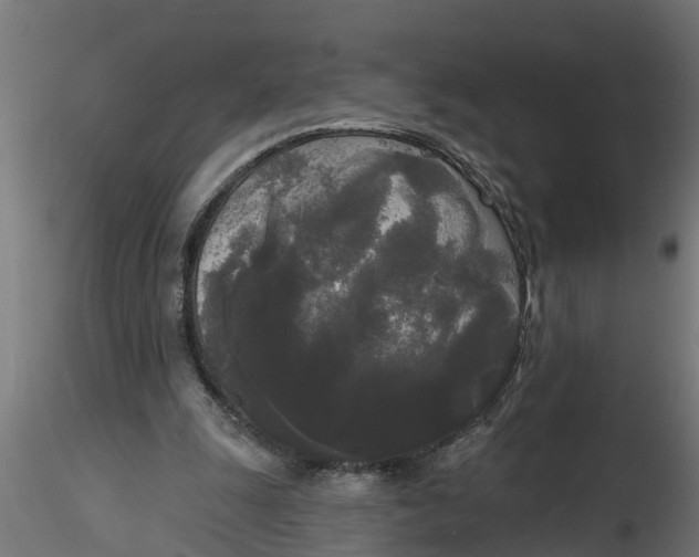 X0000116850247201001051512