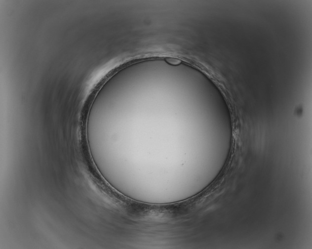 X0000116850248201001051512