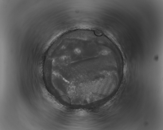 X0000116850249201001051512