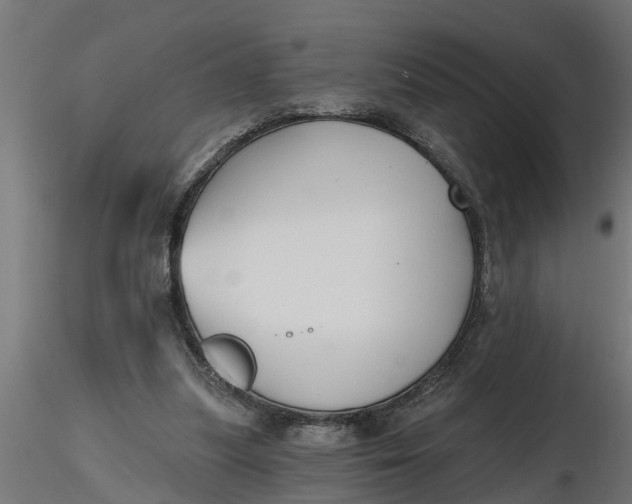 X0000116850251201001051512