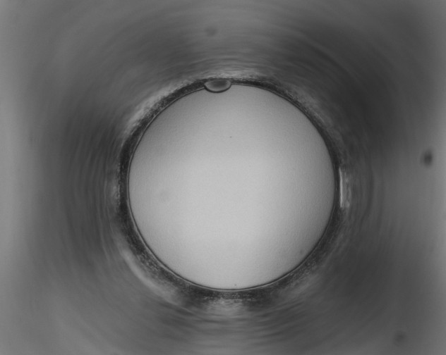 X0000116850252201001051512