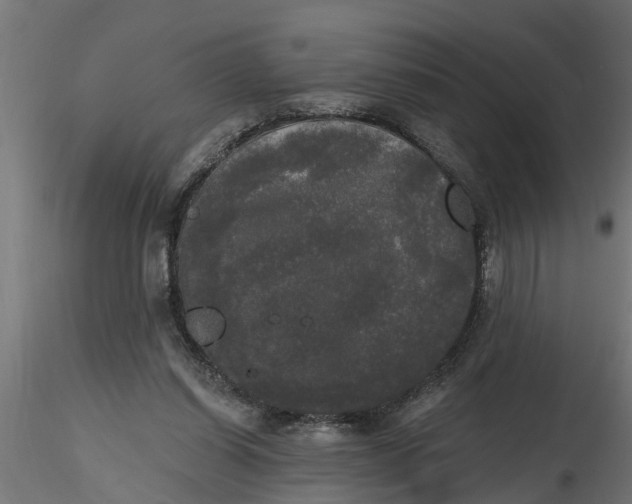 X0000116850254201001051512