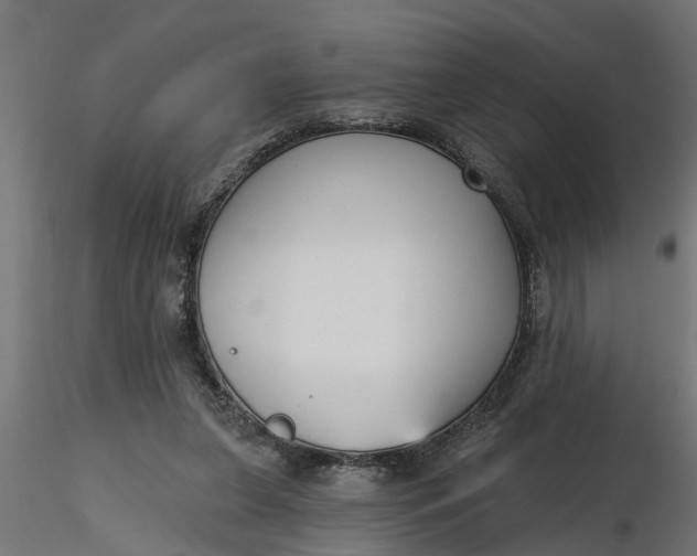 X0000116850255201001051512