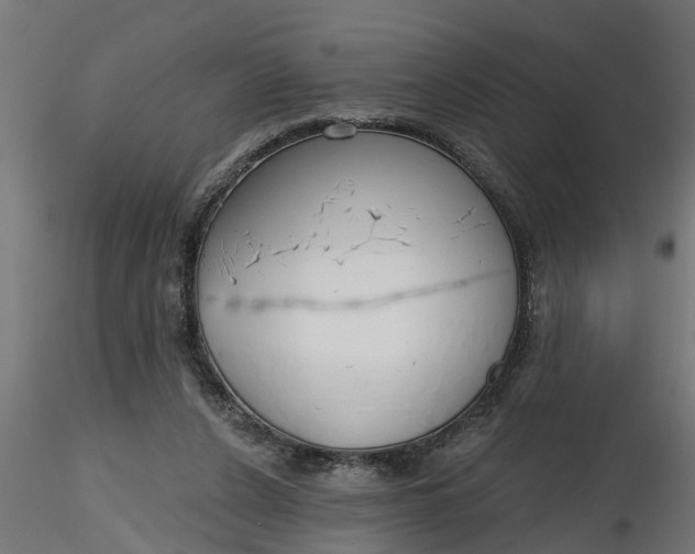 X0000116850256201001051512