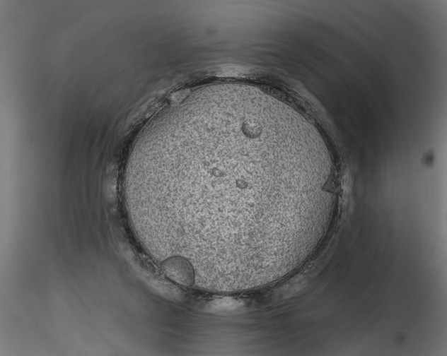 X0000116850257201001051512