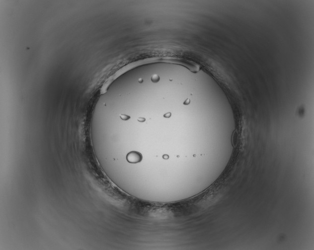 X0000116850258201001051512