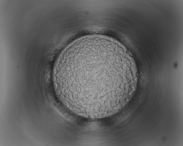 X0000116850259201001051512