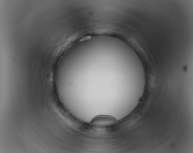 X0000116850260201001051512