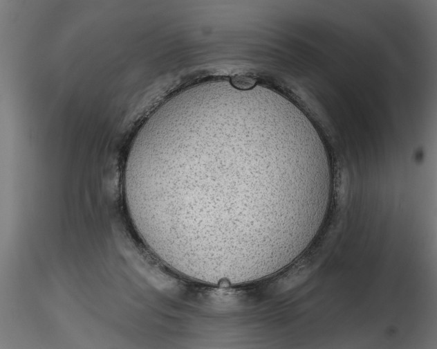 X0000116850261201001051512