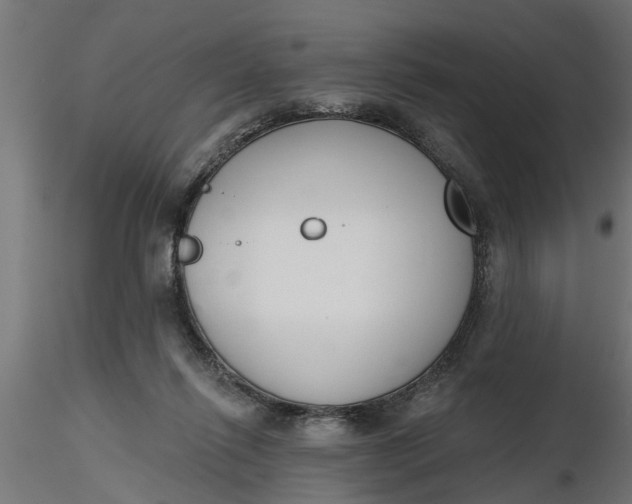 X0000116850262201001051512