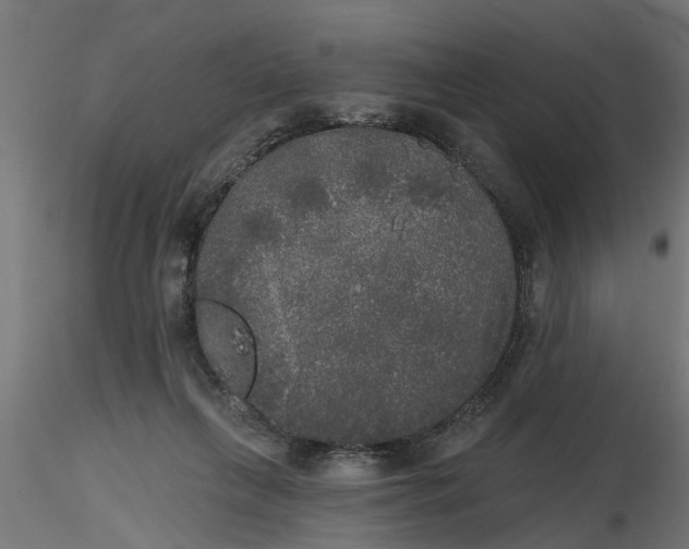 X0000116850263201001051512