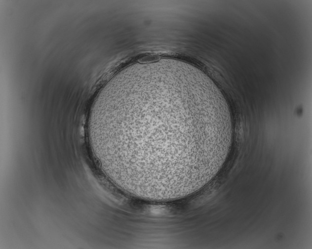 X0000116850264201001051512