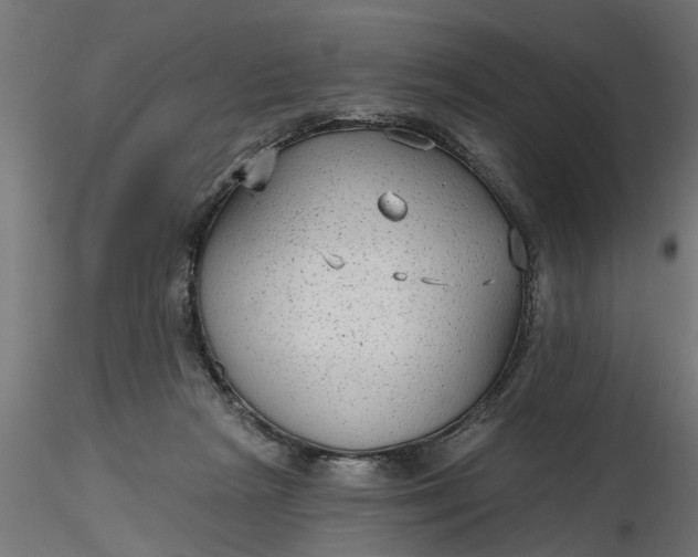 X0000116850265201001051512