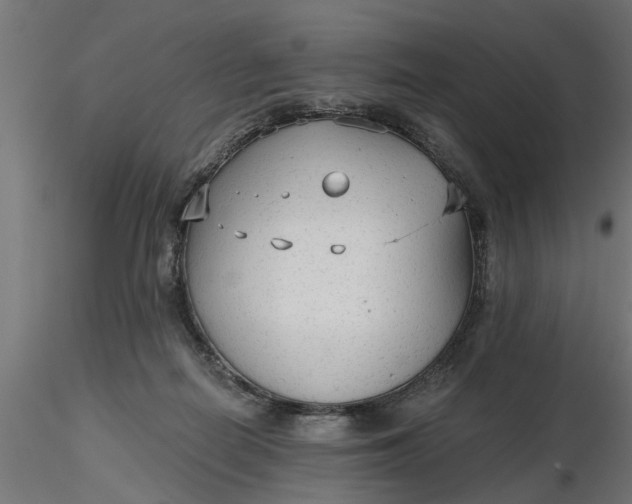 X0000116850266201001051512