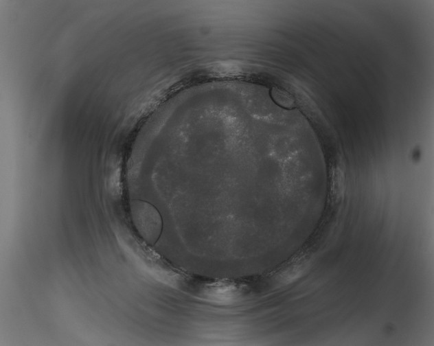 X0000116850267201001051512