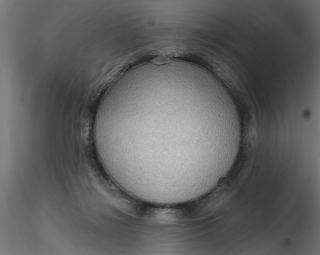 X0000116850268201001051512