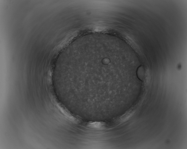 X0000116850269201001051512