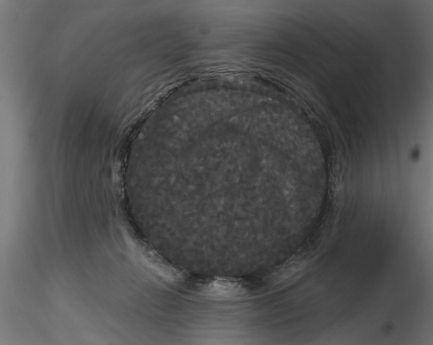 X0000116850270201001051512