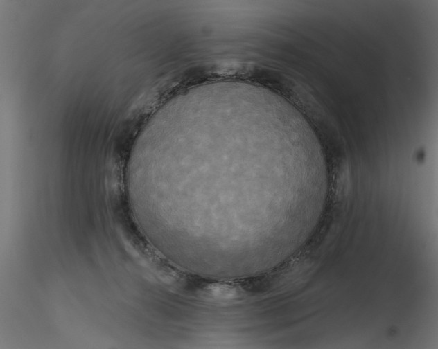 X0000116850272201001051512