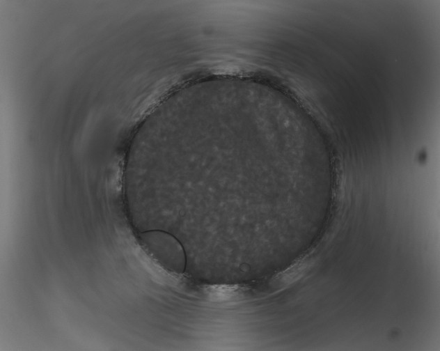 X0000116850273201001051512