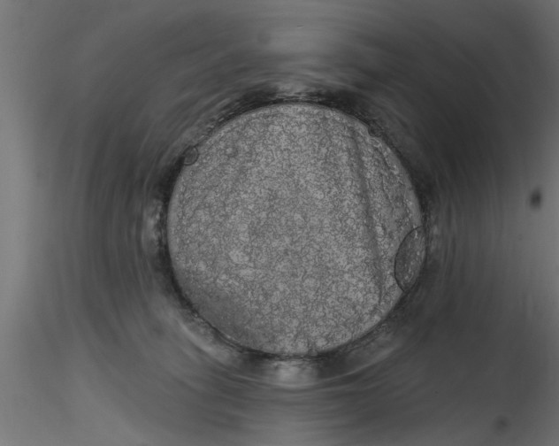 X0000116850275201001051512