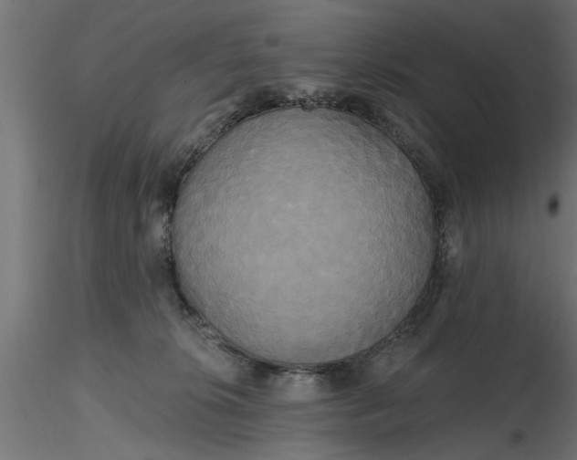 X0000116850276201001051512