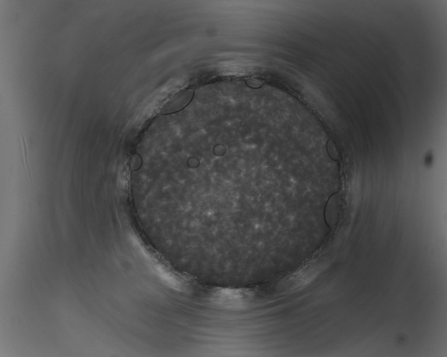 X0000116850277201001051512