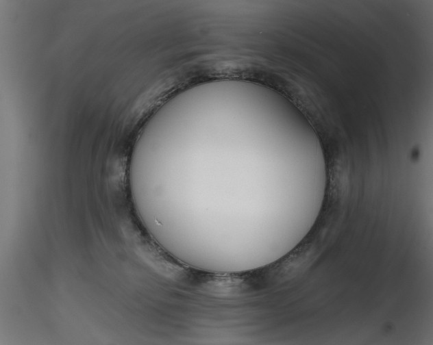 X0000116850278201001051512