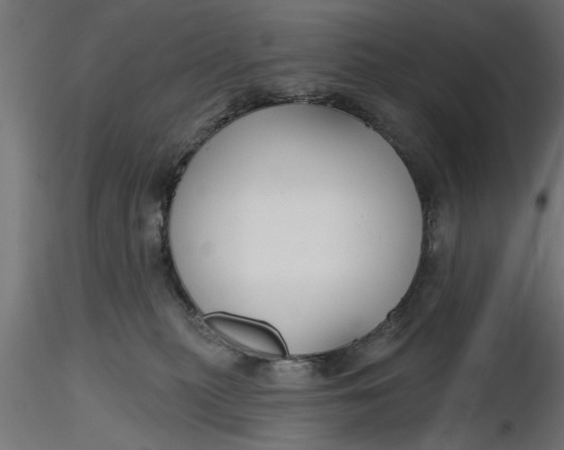 X0000116850279201001051512