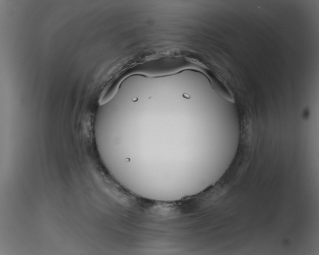 X0000116850280201001051512