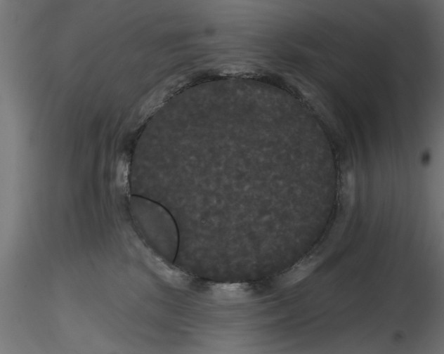 X0000116850281201001051512