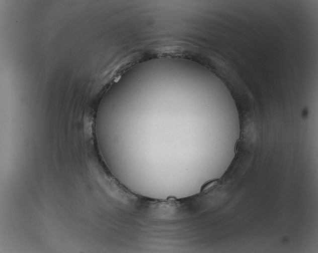 X0000116850282201001051512