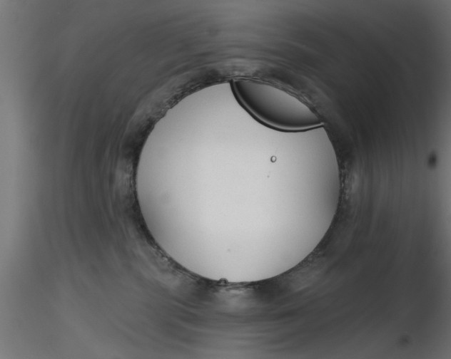 X0000116850283201001051512