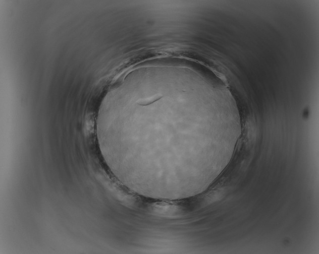 X0000116850284201001051512