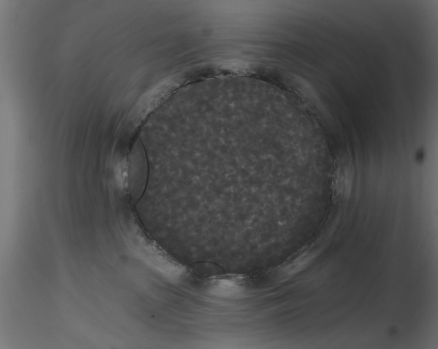 X0000116850285201001051512