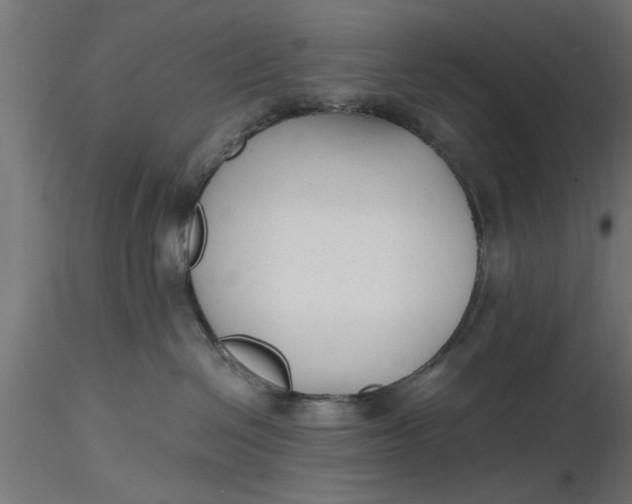 X0000116850286201001051512