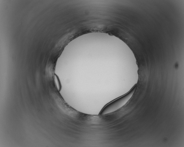 X0000116850287201001051512